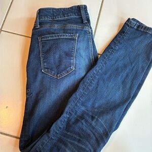 Level 99 Dark and Light Blue Skinny Jeans